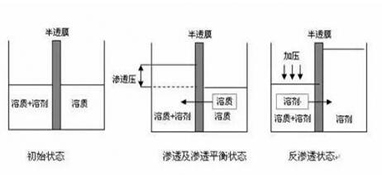 ro膜是什么？為什么說它是凈水器的靈魂？