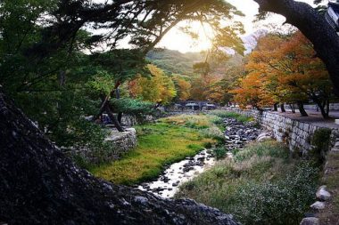 中部地區農村生活污水治理現狀分析