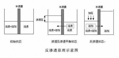 ro膜是什么？為什么說它是凈水器的靈魂？  hot